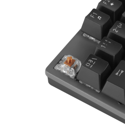 Teclado mecanico gaming phoenix mk1 elite full rgb configurable switches brown usb con reposamuñecas