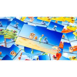 Juego de mesa birdie