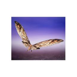 Suko & mothra 2024 ver. fig. 7 - 29 cm godzilla vs kong the new empire sh monsterarts coll